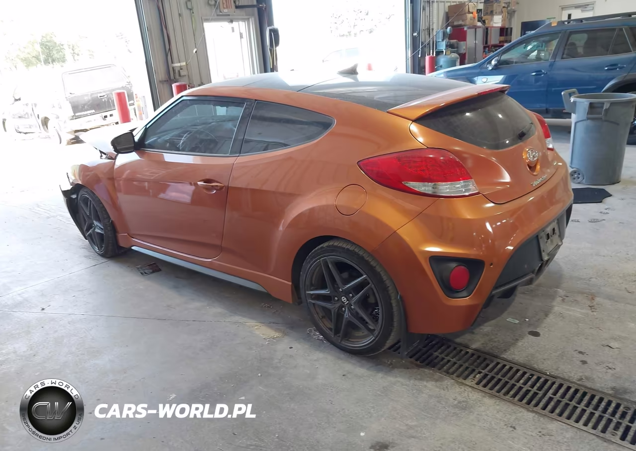 2015 Hyundai Veloster Turbo VIN:KMHTC6AE7FU225062 - 3