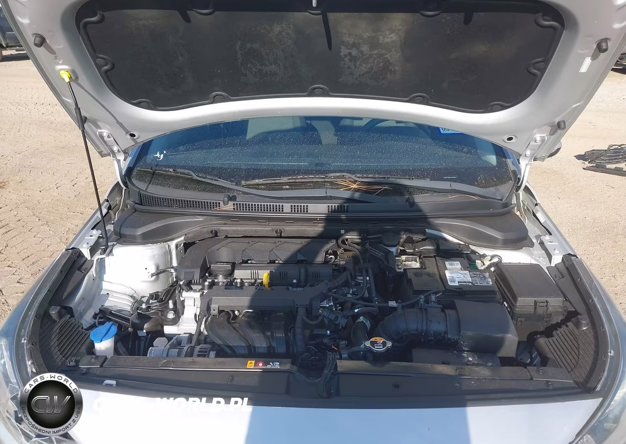 2020 Hyundai Accent Se VIN:3KPC24A66LE126389 - 10