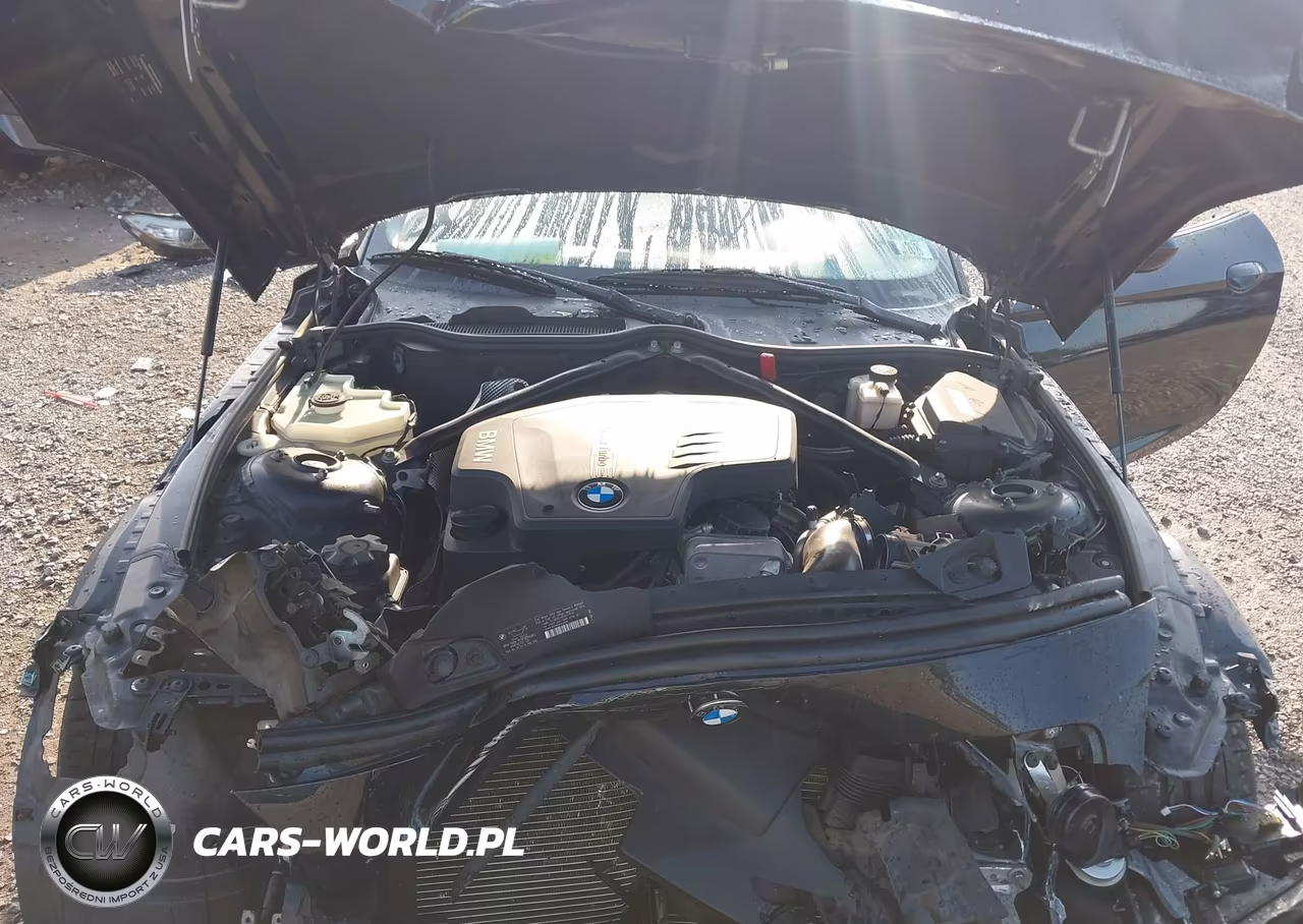 2013 BMW Z4 Sdrive28I VIN:WBALL5C55DJ103937 - 10