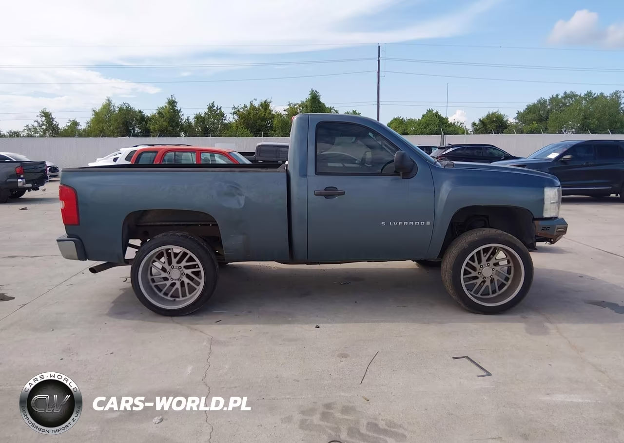 2009 Chevrolet Silverado 1500 Work Truck VIN:1GCEK14C89Z205214 - 12