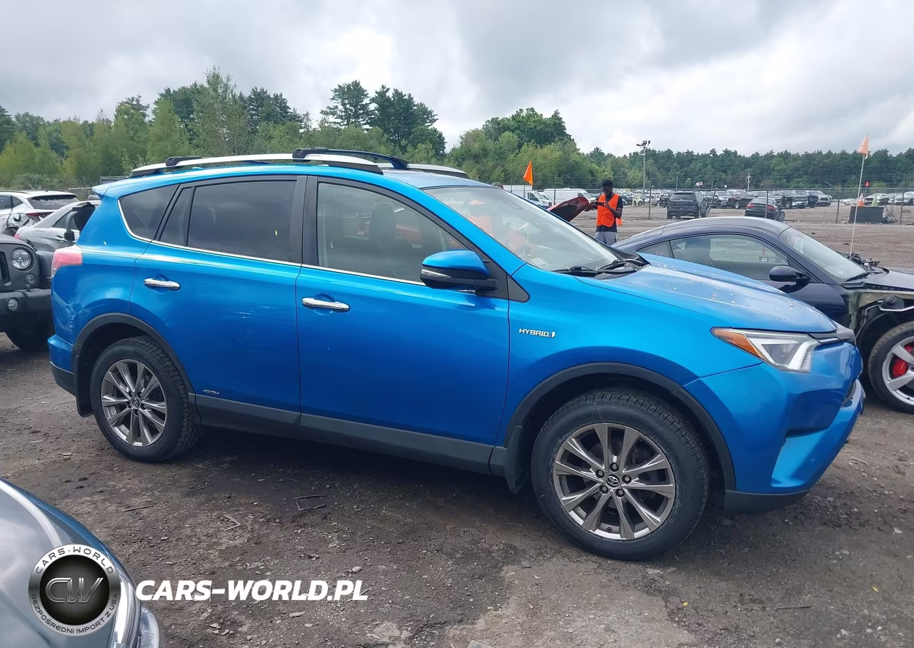 2017 Toyota Rav4 Hybrid Limited VIN:JTMDJREV9HD134730 - 13