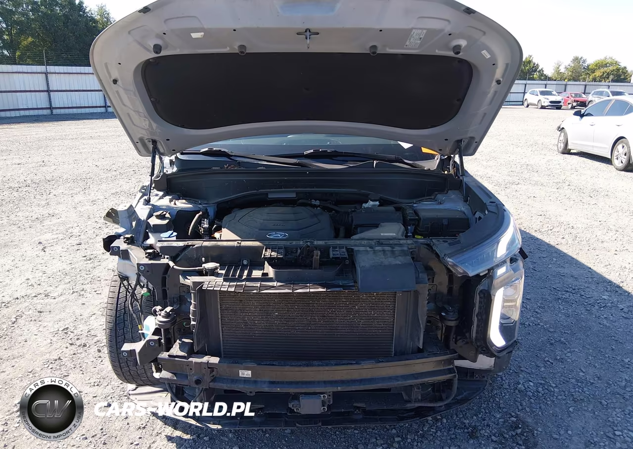 2022 Hyundai Palisade Sel VIN:KM8R44HE3NU403646 - 10