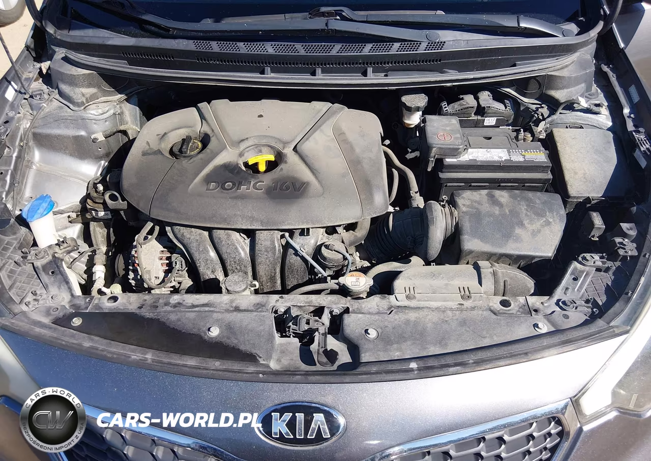 2016 Kia Forte Lx VIN:KNAFX4A66G5455381 - 10