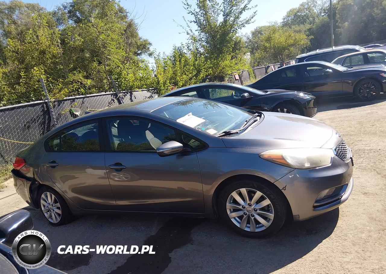 2016 Kia Forte Lx VIN:KNAFX4A66G5455381 - 13