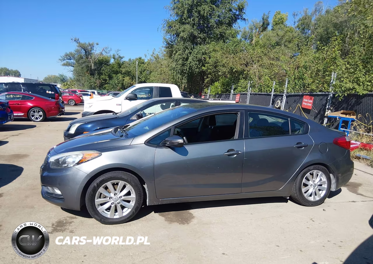 2016 Kia Forte Lx VIN:KNAFX4A66G5455381 - 14