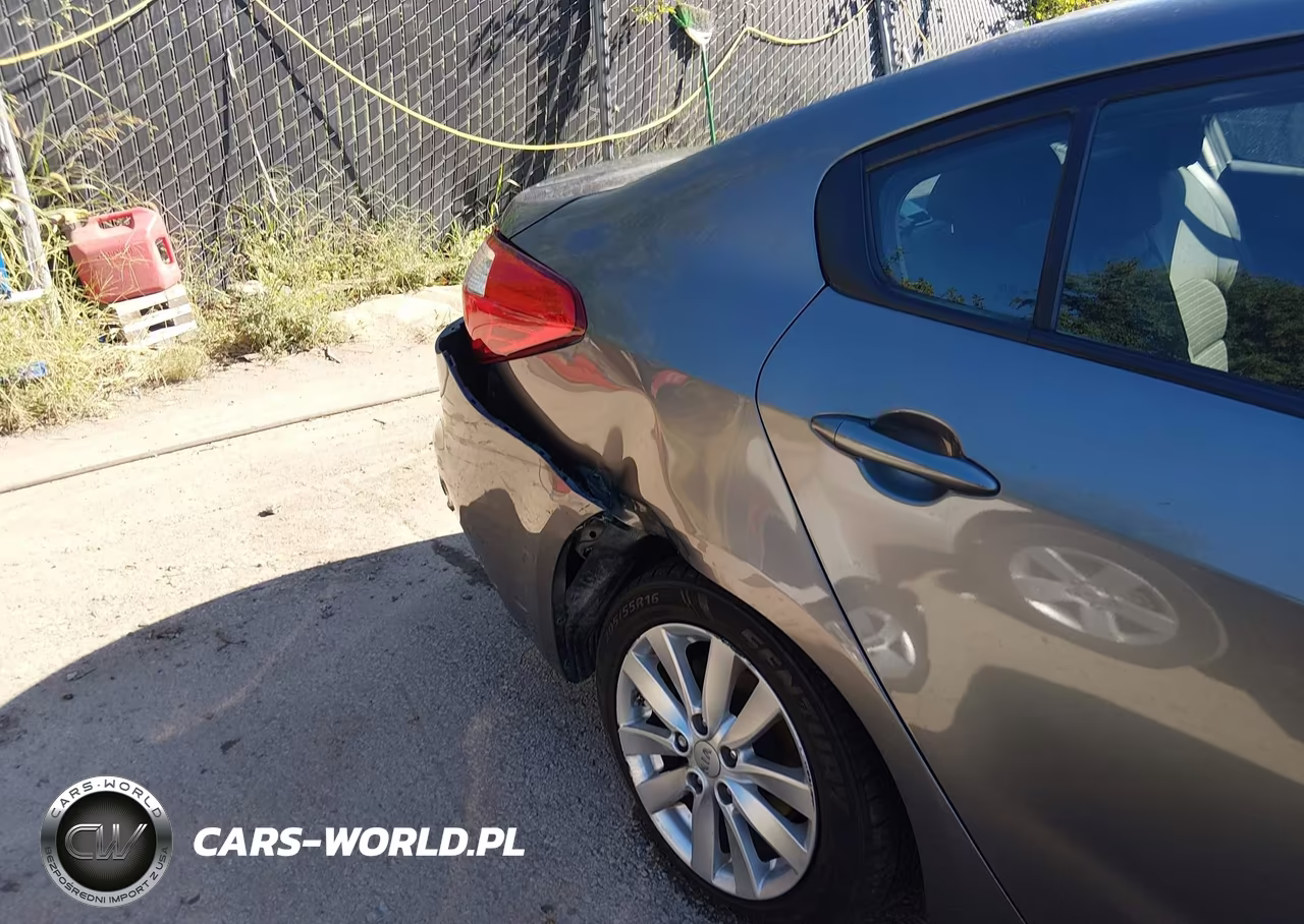 2016 Kia Forte Lx VIN:KNAFX4A66G5455381 - 18