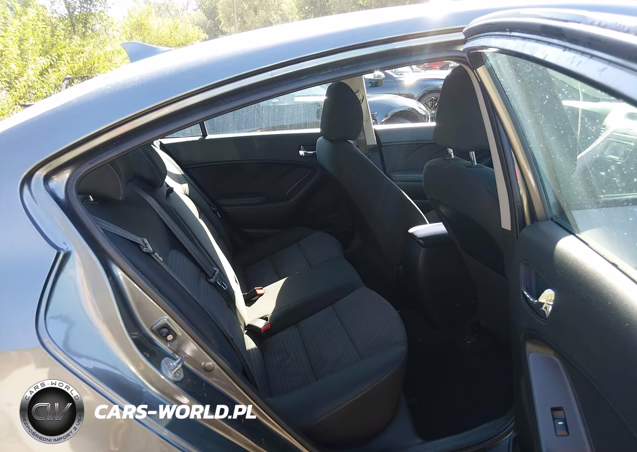 2016 Kia Forte Lx VIN:KNAFX4A66G5455381 - 8