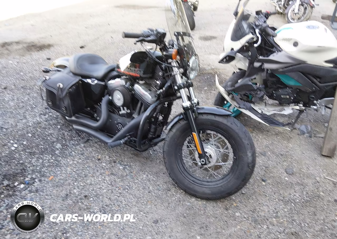 2011 Harley-Davidson Xl1200 X
