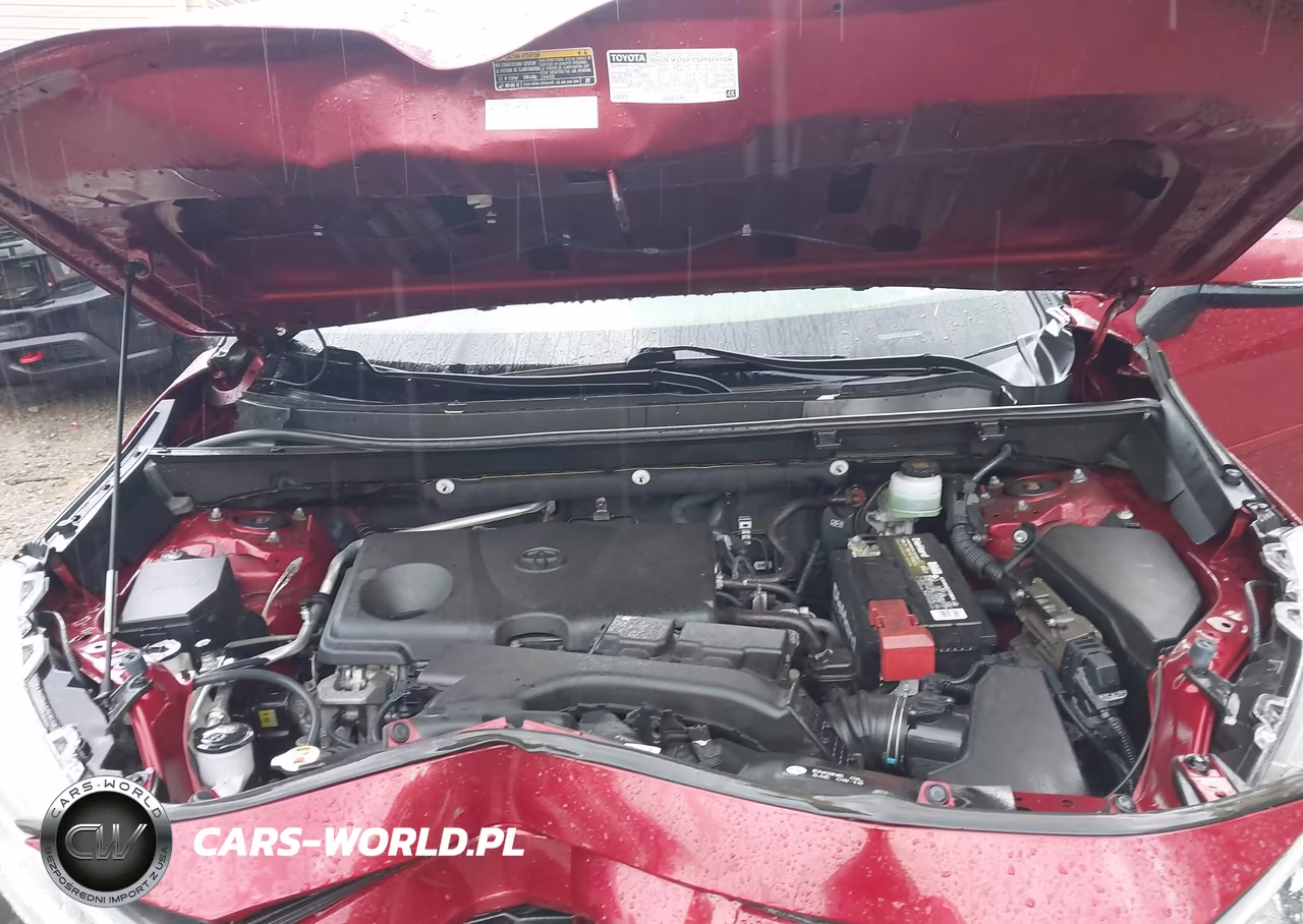 2019 Toyota Rav4 Xle VIN:JTMP1RFVXKJ003116 - 10