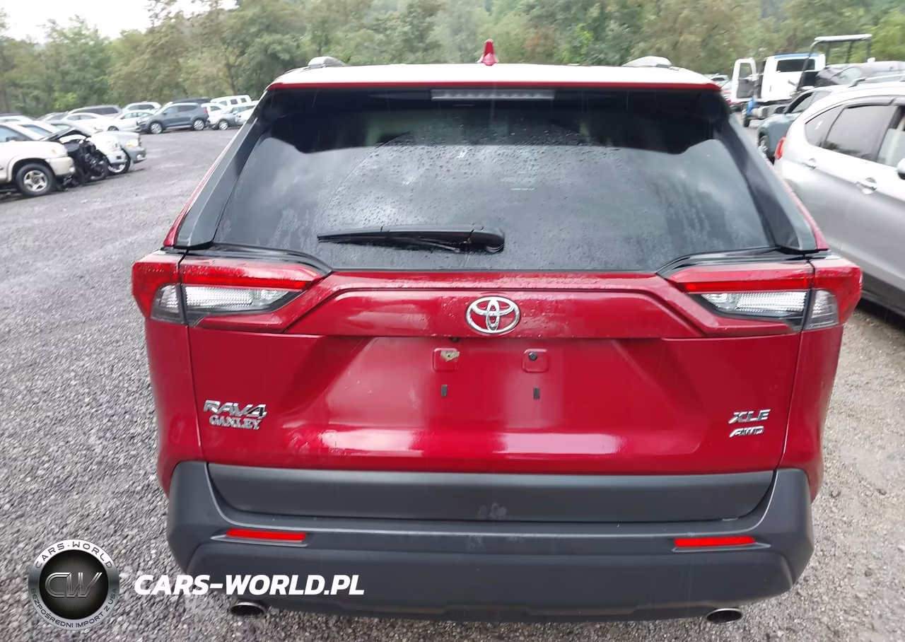 2019 Toyota Rav4 Xle VIN:JTMP1RFVXKJ003116 - 16
