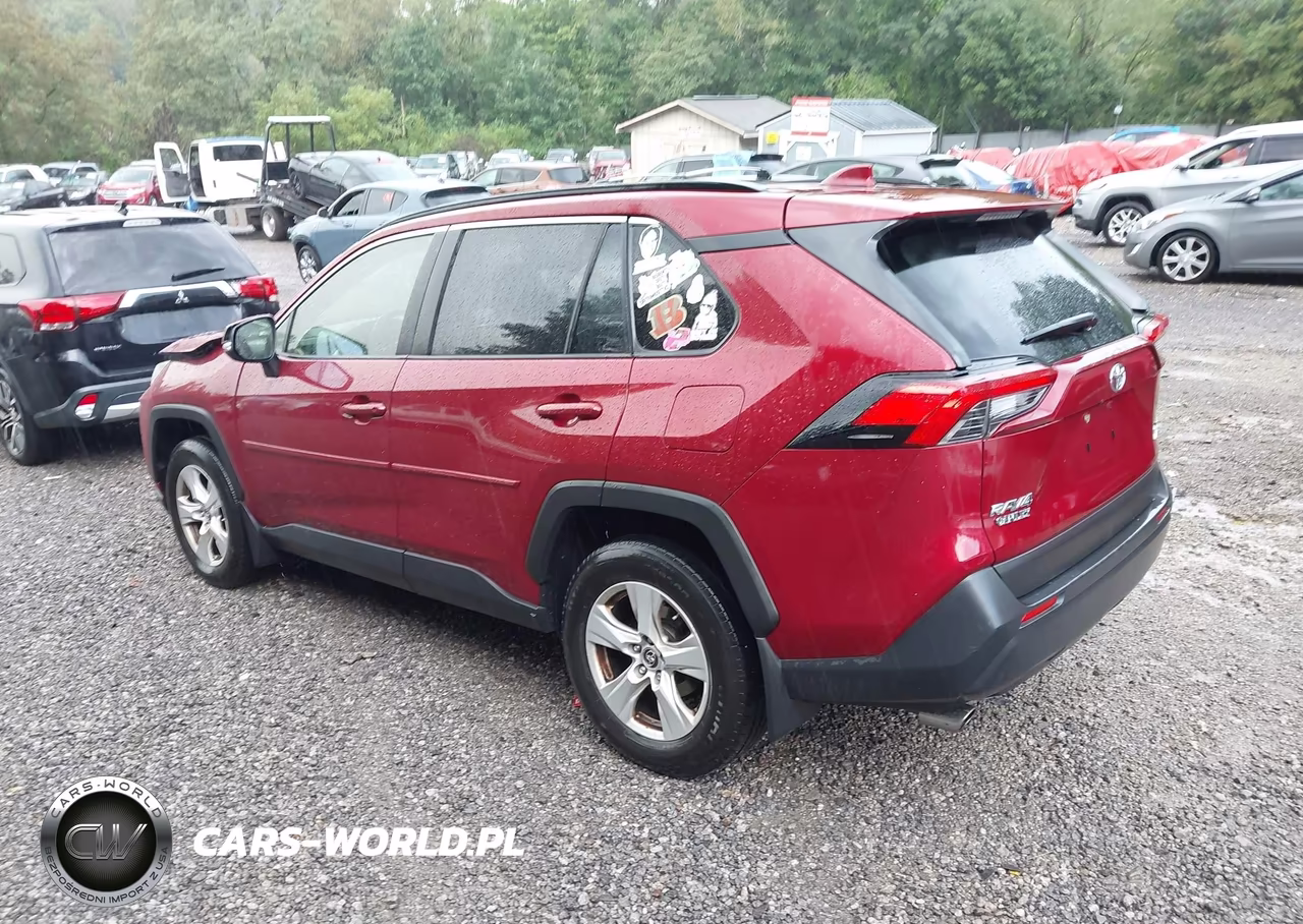 2019 Toyota Rav4 Xle VIN:JTMP1RFVXKJ003116 - 3