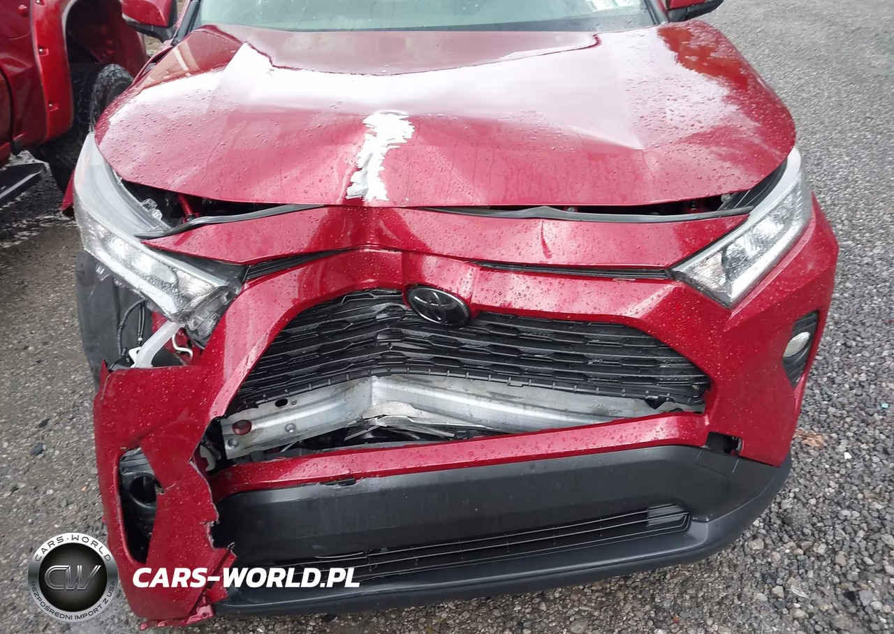 2019 Toyota Rav4 Xle VIN:JTMP1RFVXKJ003116 - 6