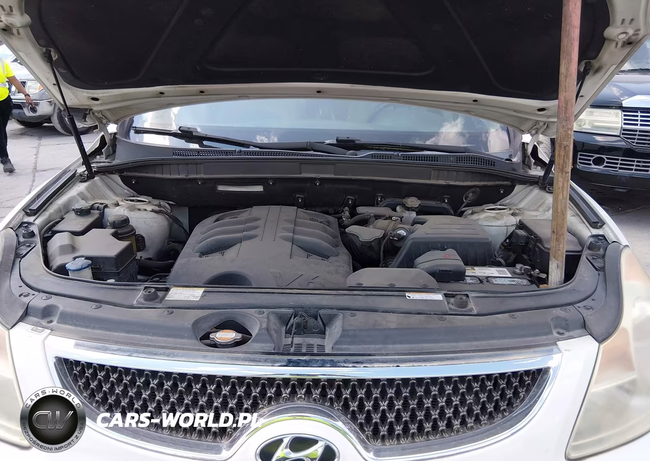 2010 Hyundai Veracruz Limited VIN:KM8NU4CC0AU105859 - 10