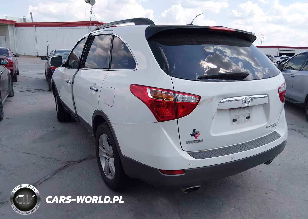 2010 Hyundai Veracruz Limited VIN:KM8NU4CC0AU105859 - 3