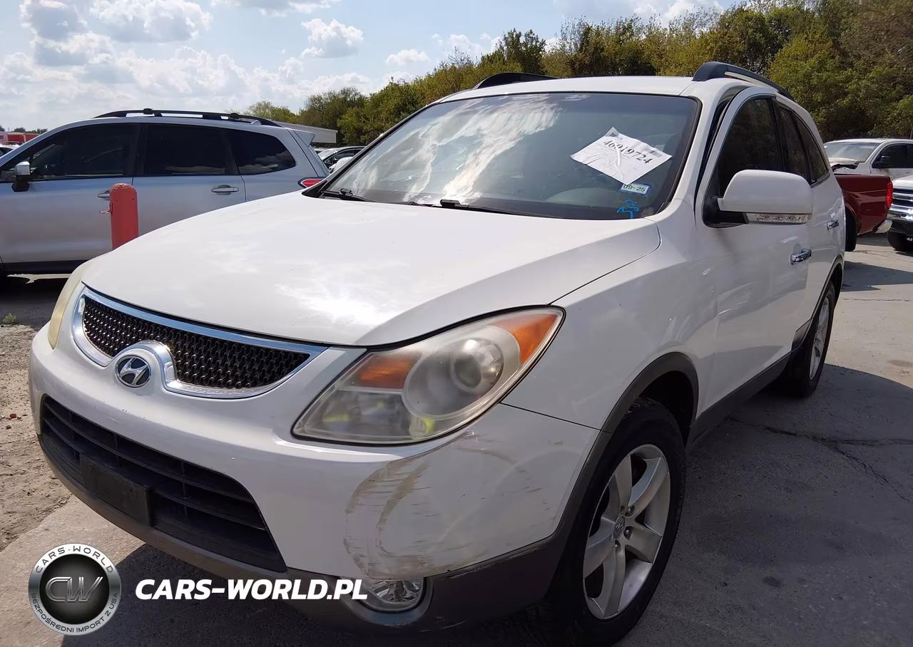 2010 Hyundai Veracruz Limited VIN:KM8NU4CC0AU105859 - 6