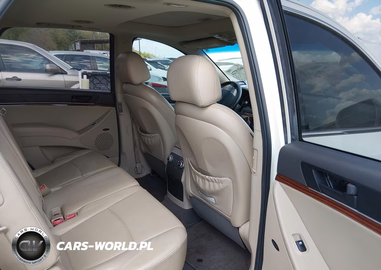 2010 Hyundai Veracruz Limited VIN:KM8NU4CC0AU105859 - 8
