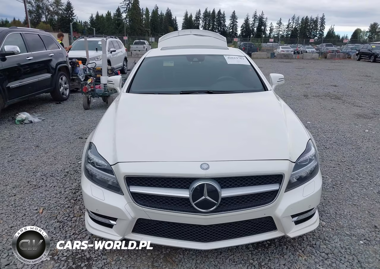 2012 Mercedes-Benz Cls 550 4Matic VIN:WDDLJ9BB4CA045315 - 13