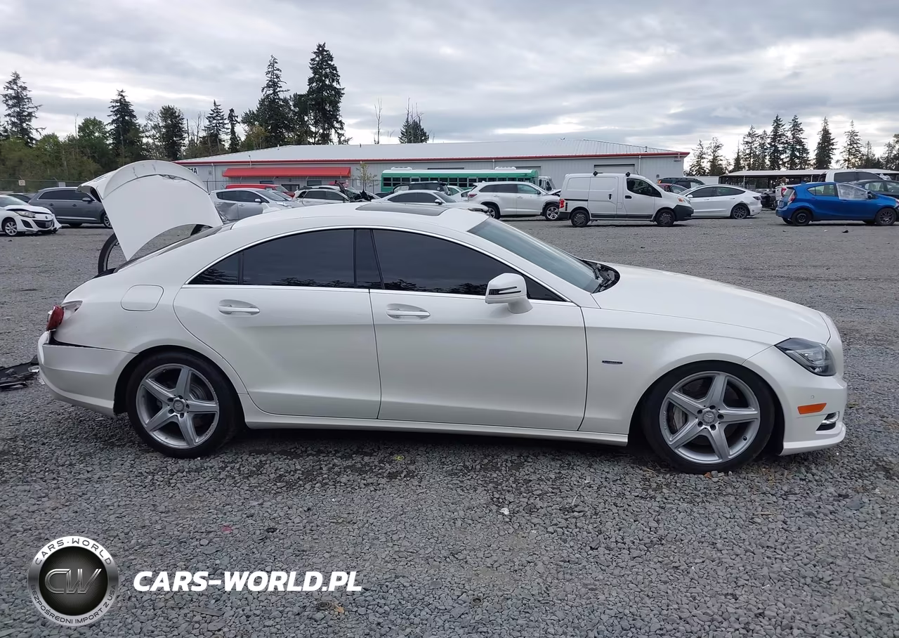 2012 Mercedes-Benz Cls 550 4Matic VIN:WDDLJ9BB4CA045315 - 14