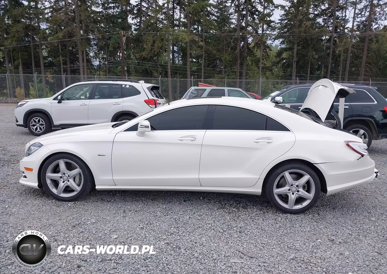 2012 Mercedes-Benz Cls 550 4Matic VIN:WDDLJ9BB4CA045315 - 15