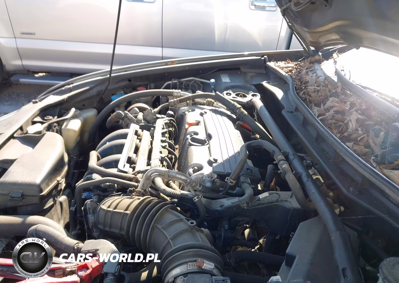 2010 Honda Accord 2.4 Ex VIN:1HGCP2F73AA165529 - 10