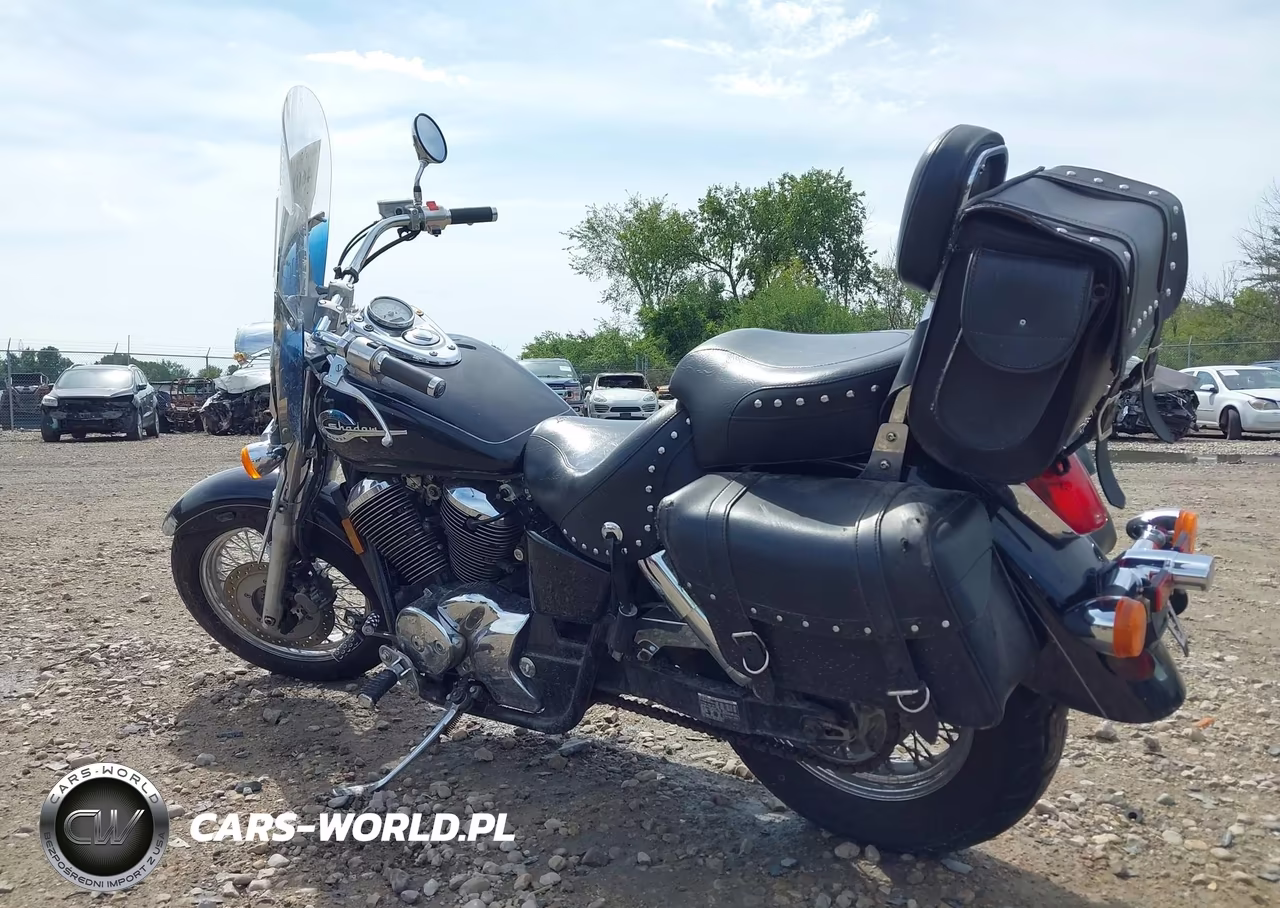 2002 Honda Vt750 Cdb VIN:JH2RC44J32M010999 - 3