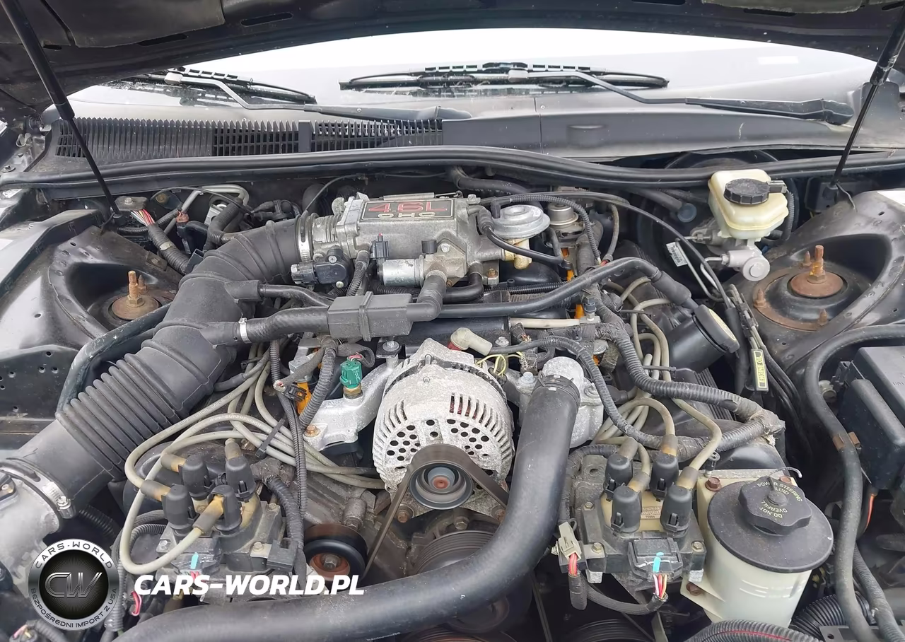 1997 Ford Thunderbird Lx VIN:1FALP62W1VH149920 - 10