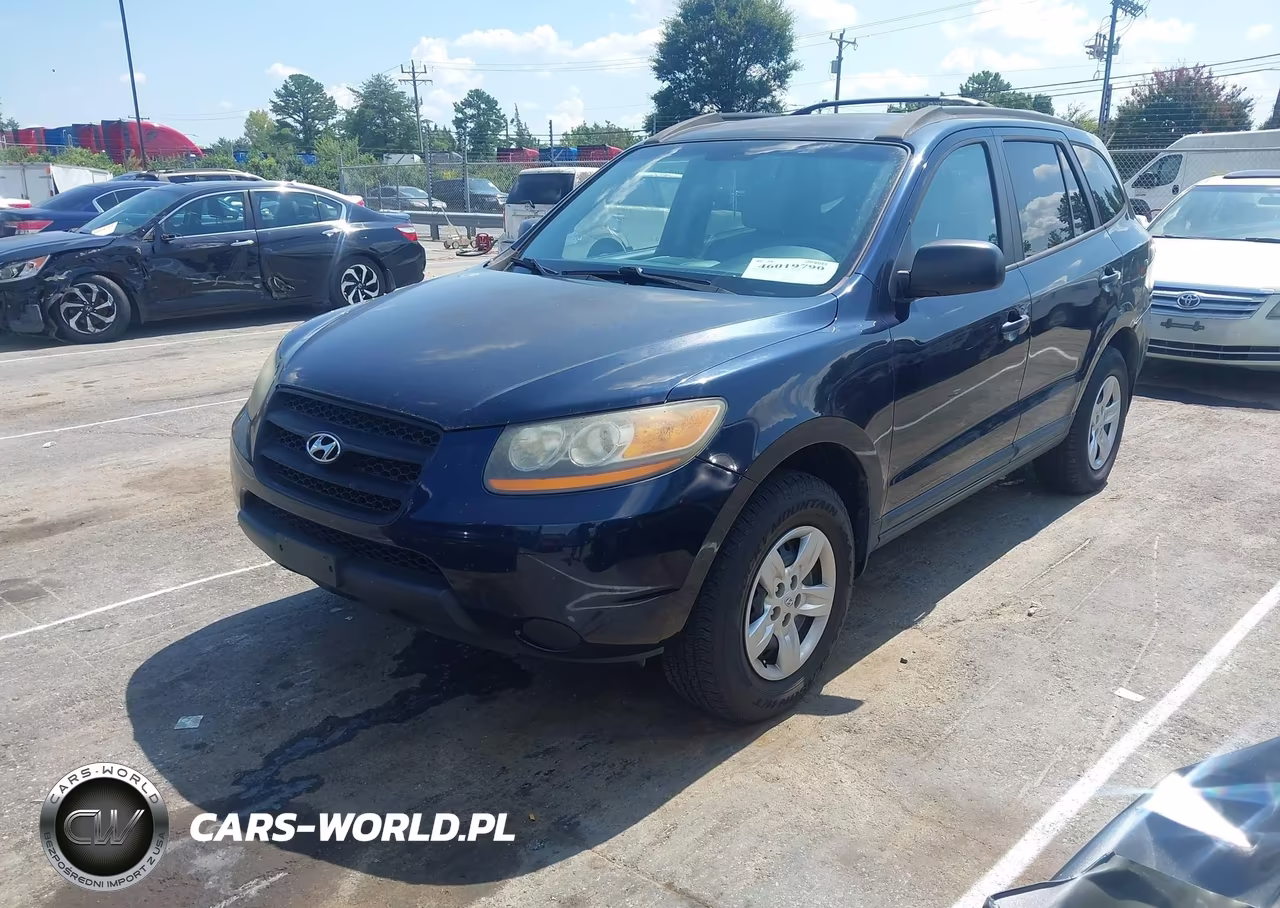 2009 Hyundai Santa Fe Gls VIN:5NMSG13DX9H262808 - 2
