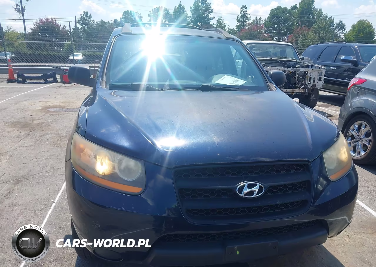 2009 Hyundai Santa Fe Gls VIN:5NMSG13DX9H262808 - 6