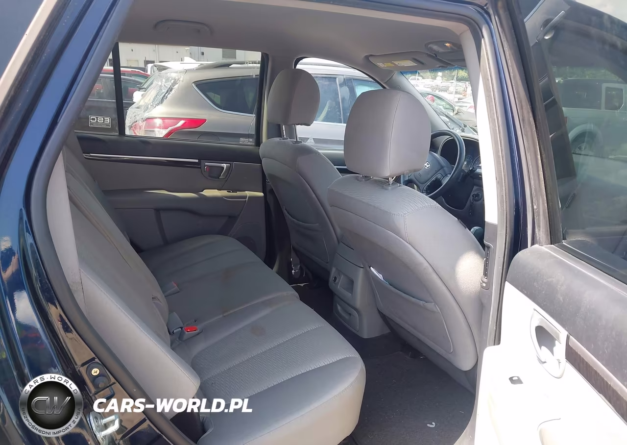 2009 Hyundai Santa Fe Gls VIN:5NMSG13DX9H262808 - 8
