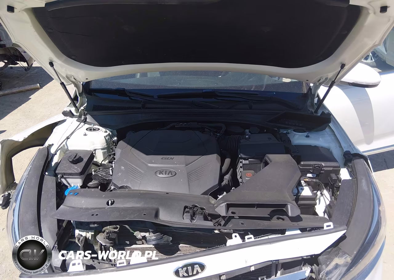 2017 Kia Cadenza Premium VIN:KNALC4J13H5065519 - 10