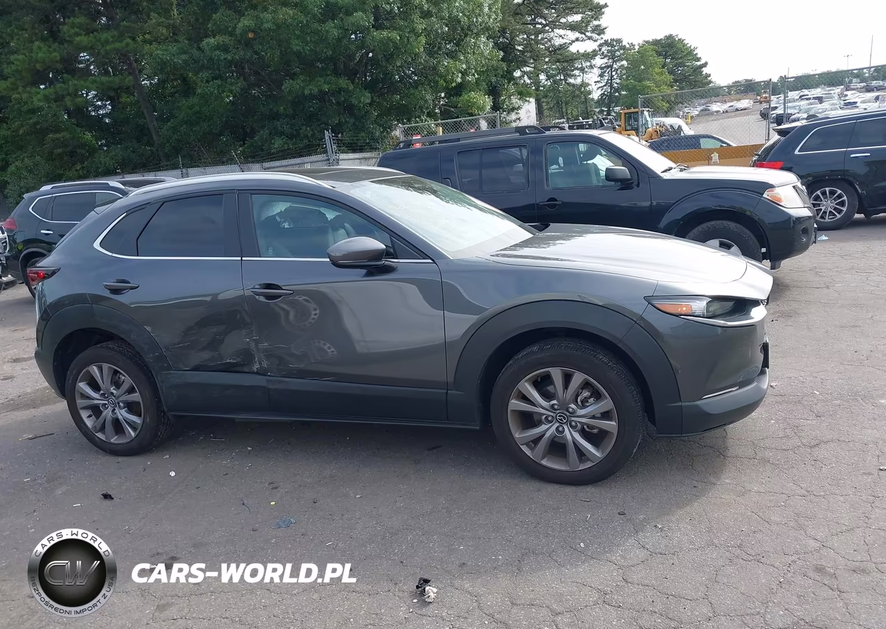 2024 Mazda Cx-30 2.5 S Preferred Package VIN:3MVDMBCM0RM636653 - 13