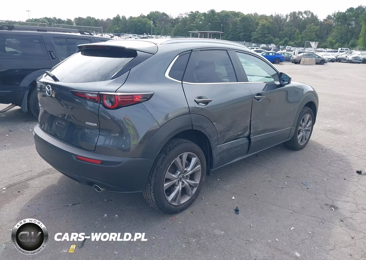 2024 Mazda Cx-30 2.5 S Preferred Package VIN:3MVDMBCM0RM636653 - 6
