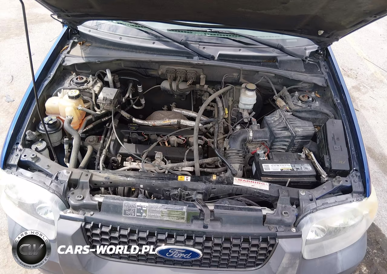 2006 Ford Escape Xlt VIN:1FMYU03Z56KC48951 - 10