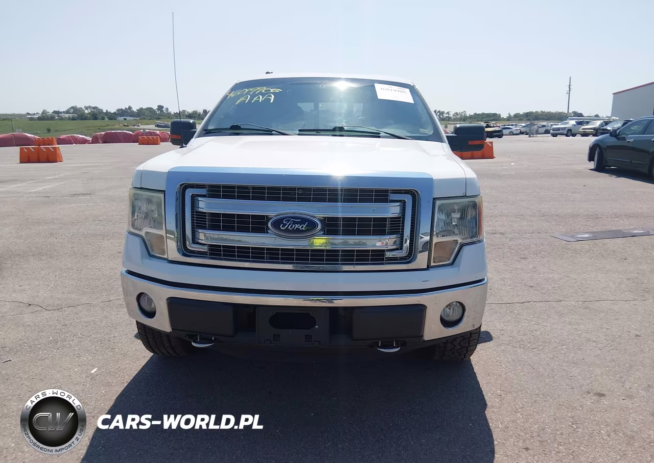 2013 Ford F-150 Xlt VIN:1FTFW1EF8DKD07731 - 12