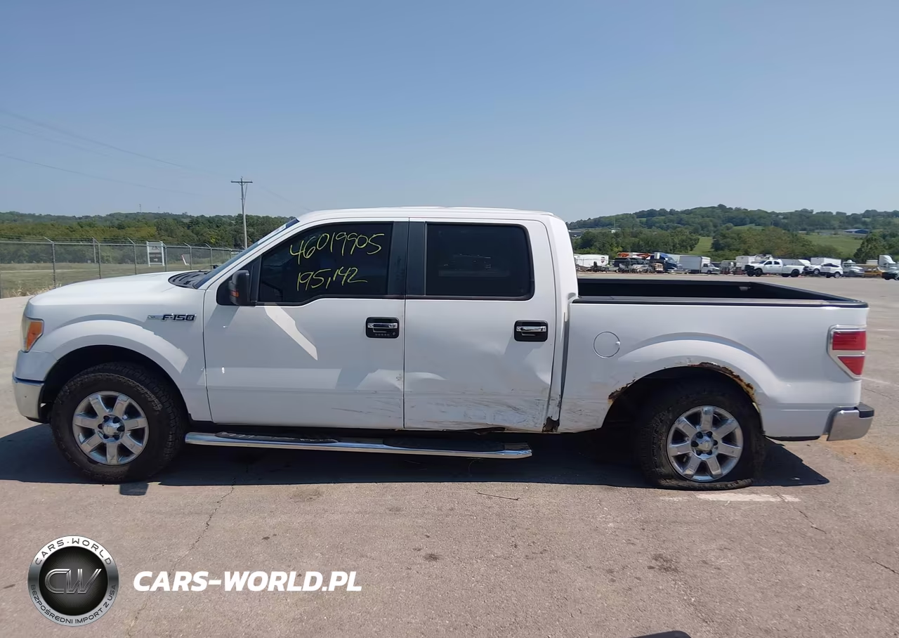 2013 Ford F-150 Xlt VIN:1FTFW1EF8DKD07731 - 14