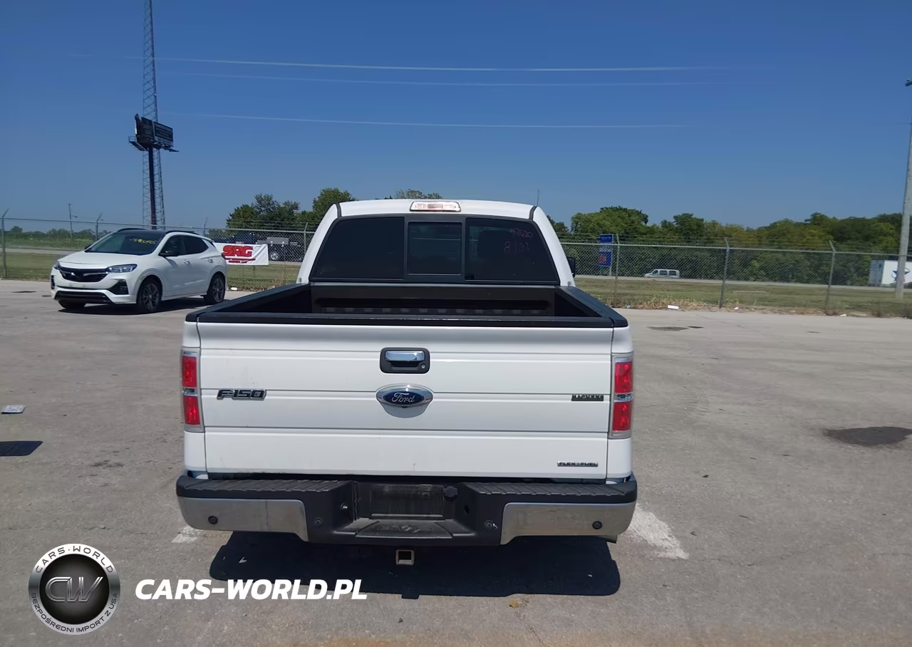 2013 Ford F-150 Xlt VIN:1FTFW1EF8DKD07731 - 16