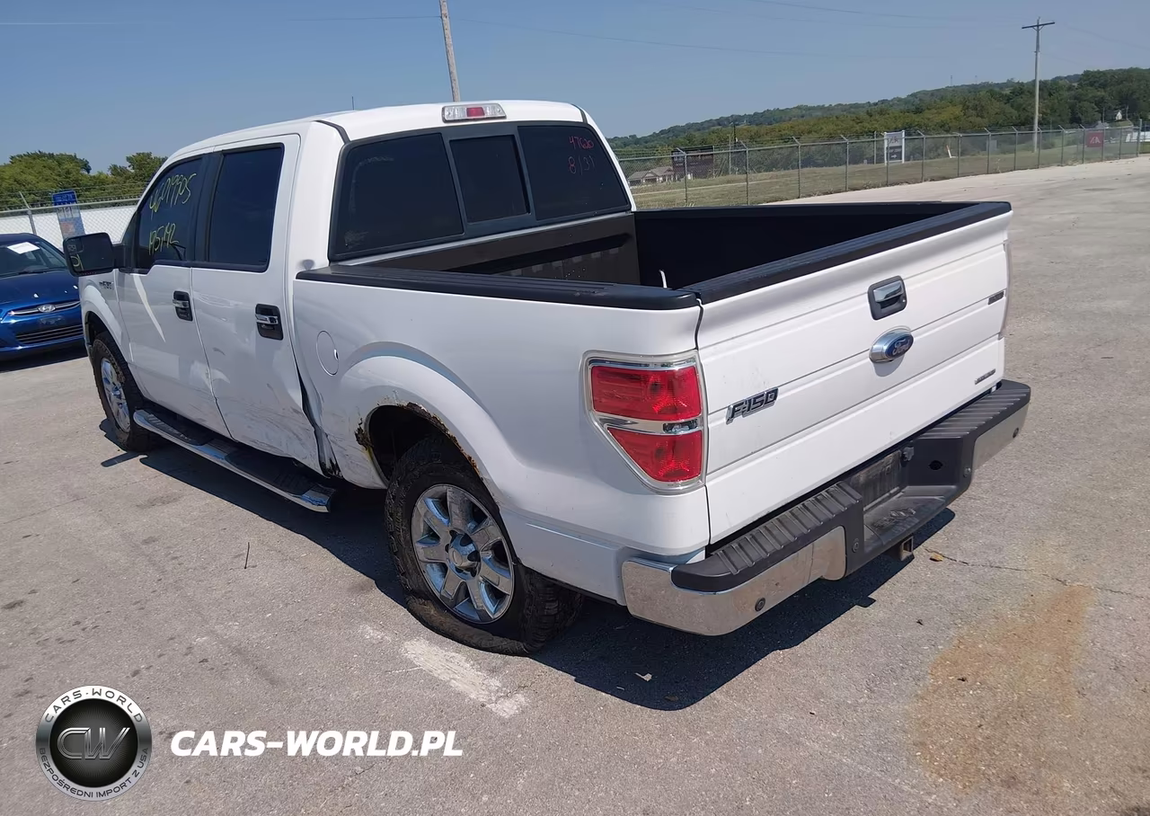 2013 Ford F-150 Xlt VIN:1FTFW1EF8DKD07731 - 3