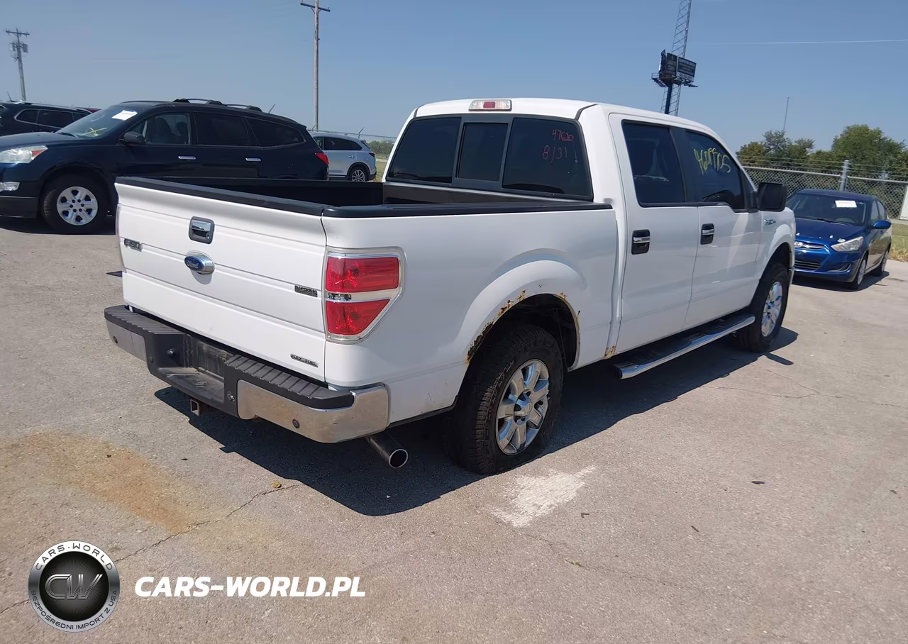 2013 Ford F-150 Xlt VIN:1FTFW1EF8DKD07731 - 4