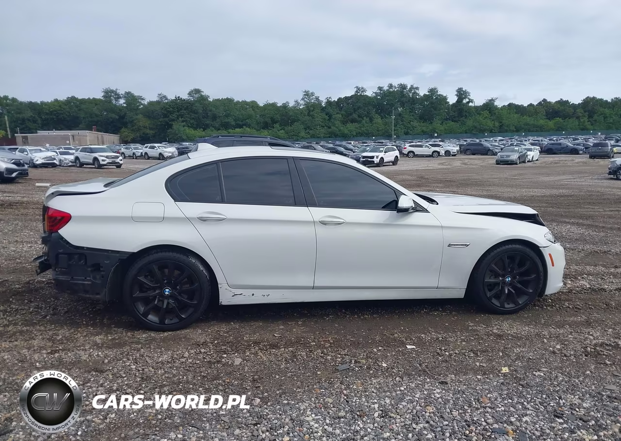 2016 BMW 528I xDrive VIN:WBA5A7C50GG147002 - 13