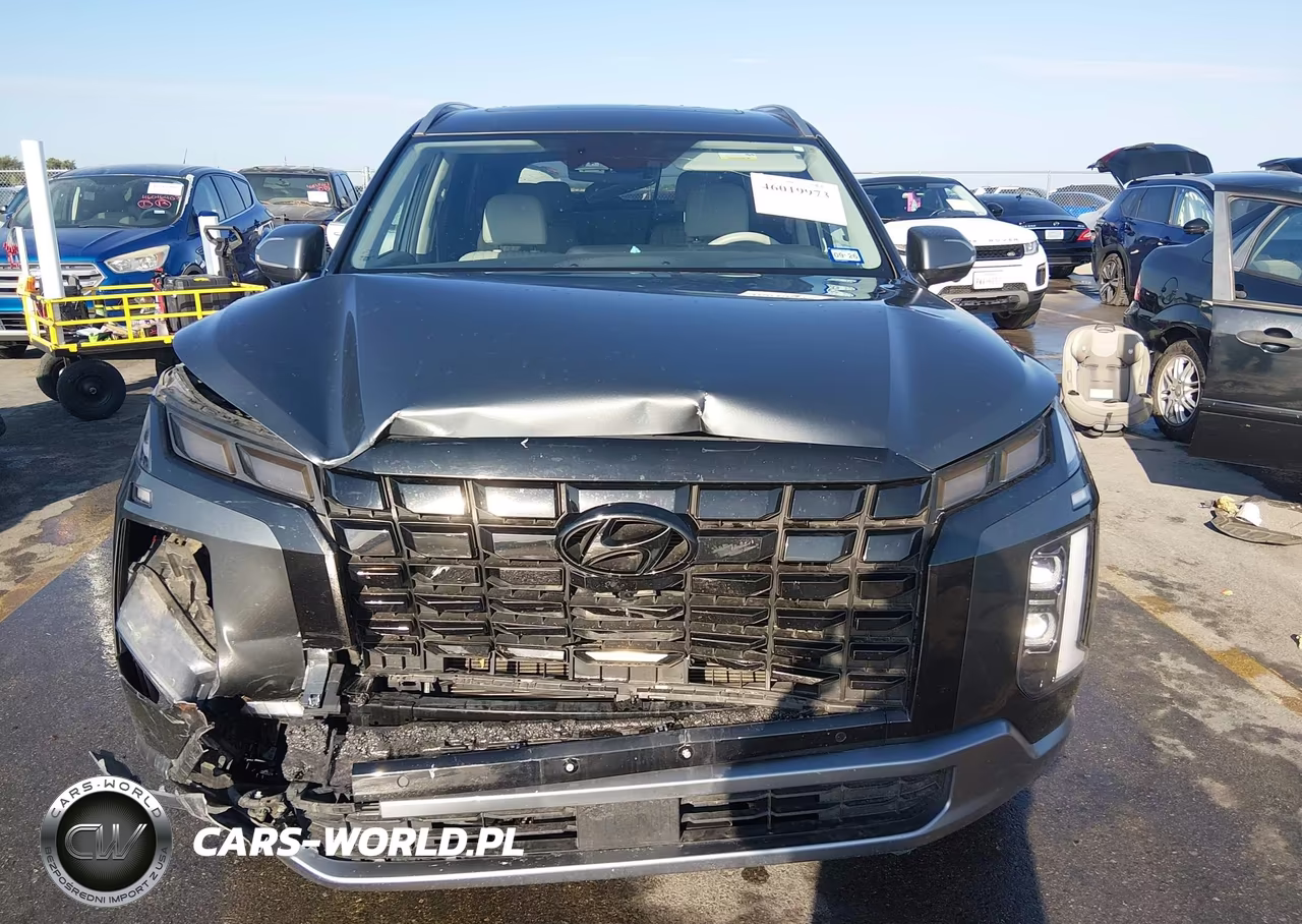 2024 Hyundai Palisade Limited VIN:KM8R5DGE6RU711074 - 12
