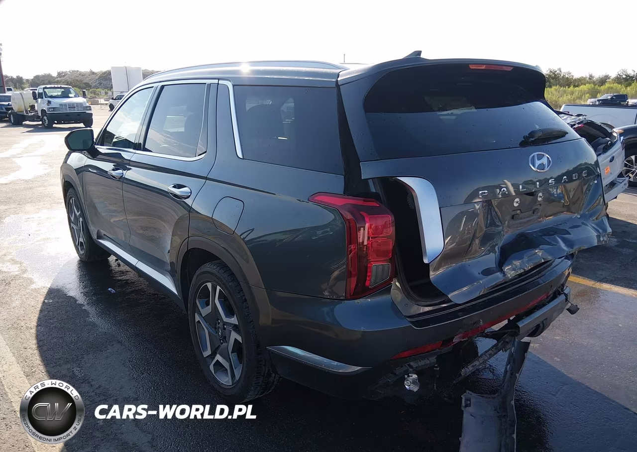 2024 Hyundai Palisade Limited VIN:KM8R5DGE6RU711074 - 3