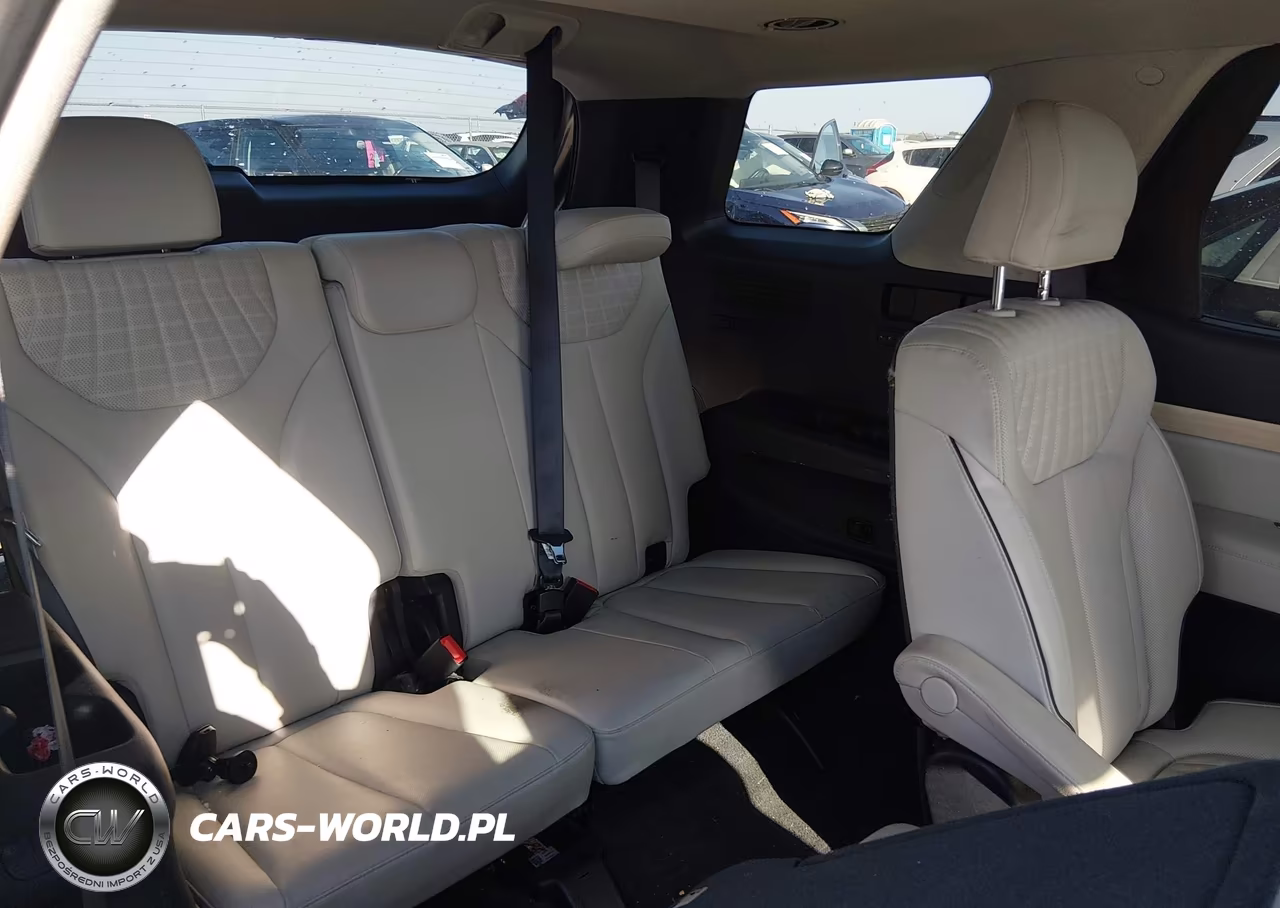 2024 Hyundai Palisade Limited VIN:KM8R5DGE6RU711074 - 8