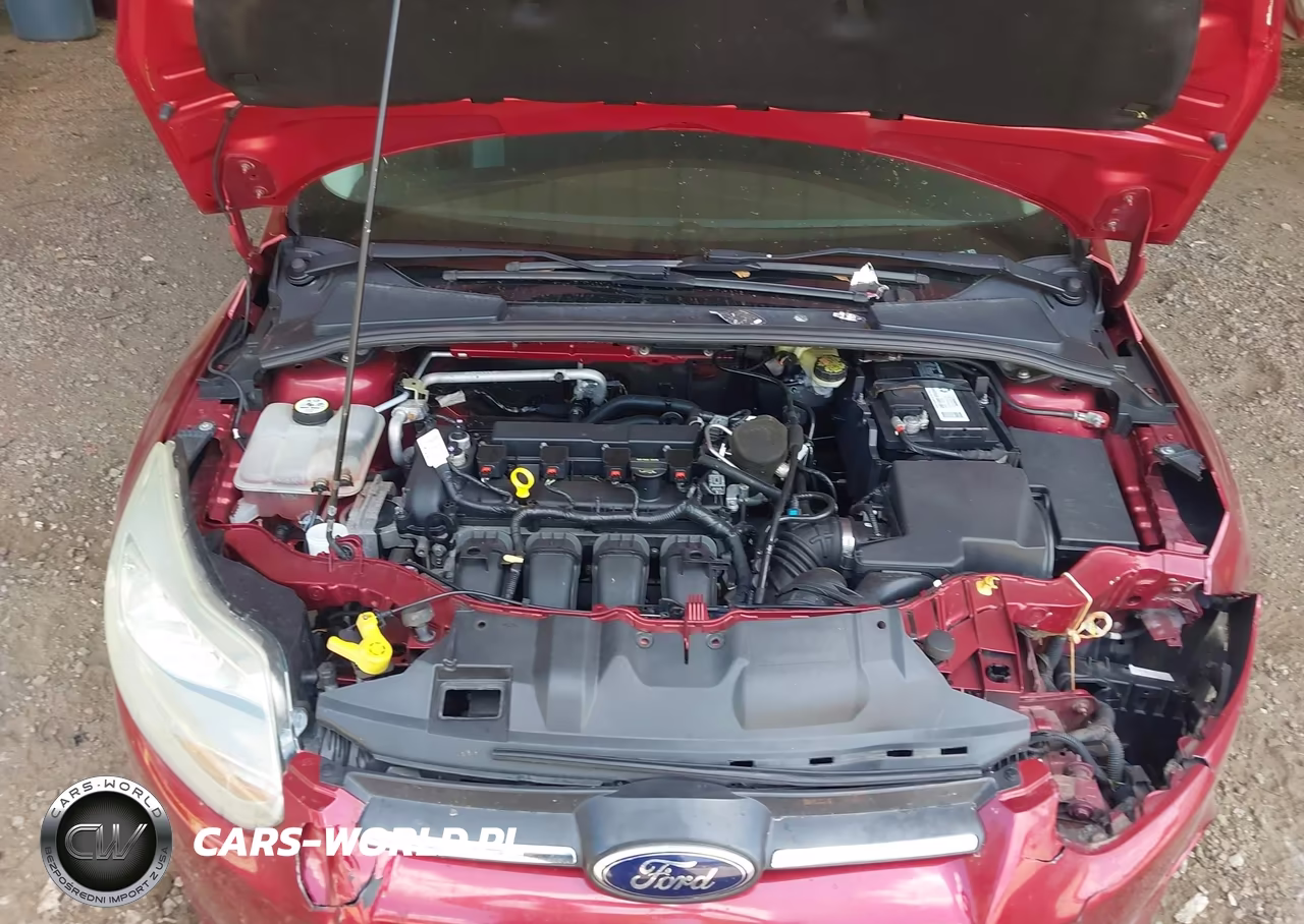 2014 Ford Focus Se VIN:1FADP3F23EL204035 - 10