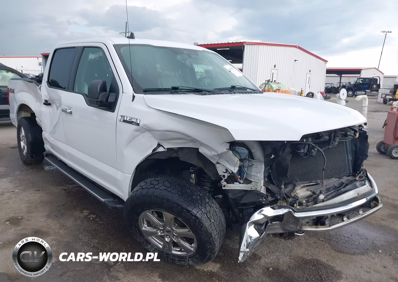 2019 Ford F-150 Xlt VIN:1FTFW1E45KKD54419 - 1
