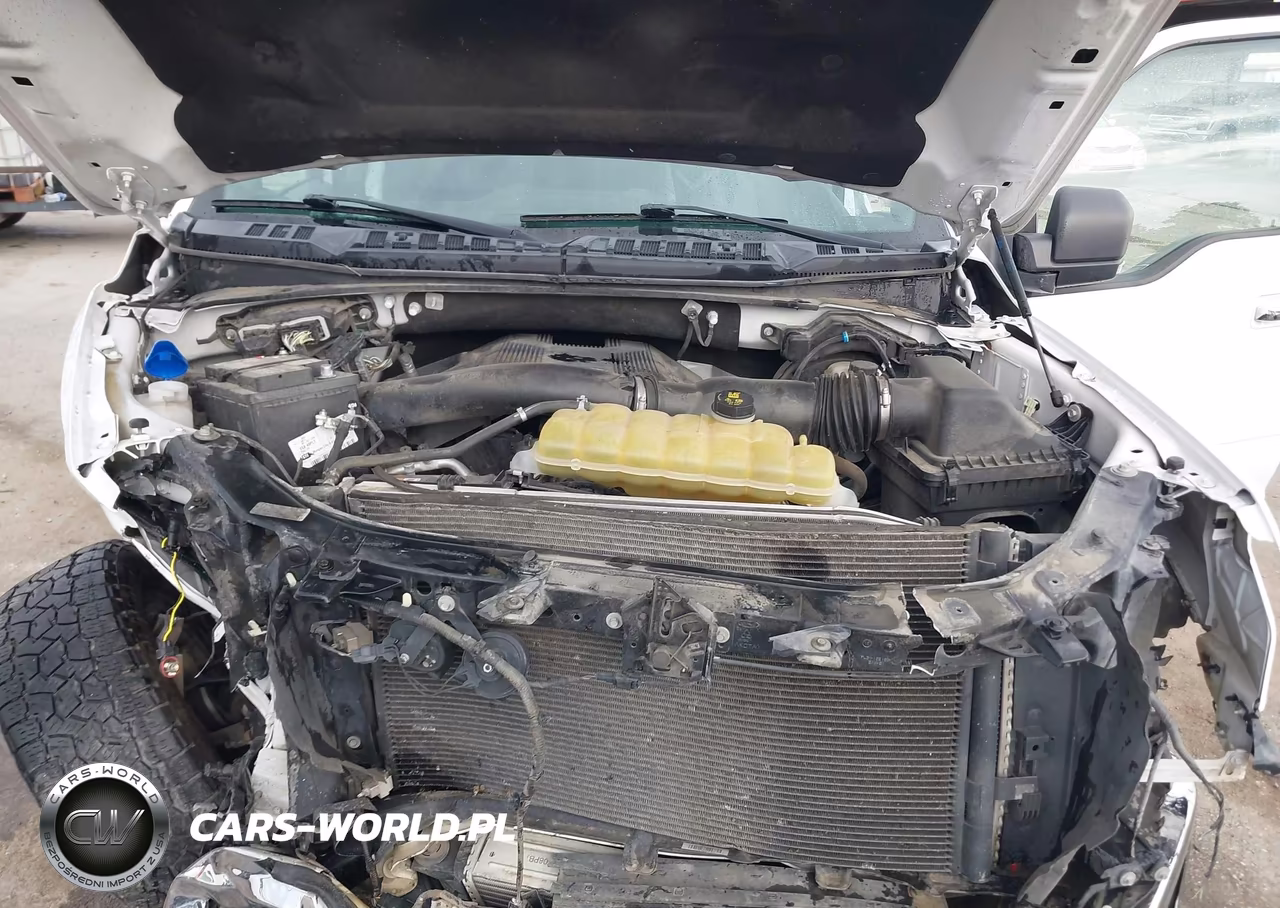 2019 Ford F-150 Xlt VIN:1FTFW1E45KKD54419 - 10
