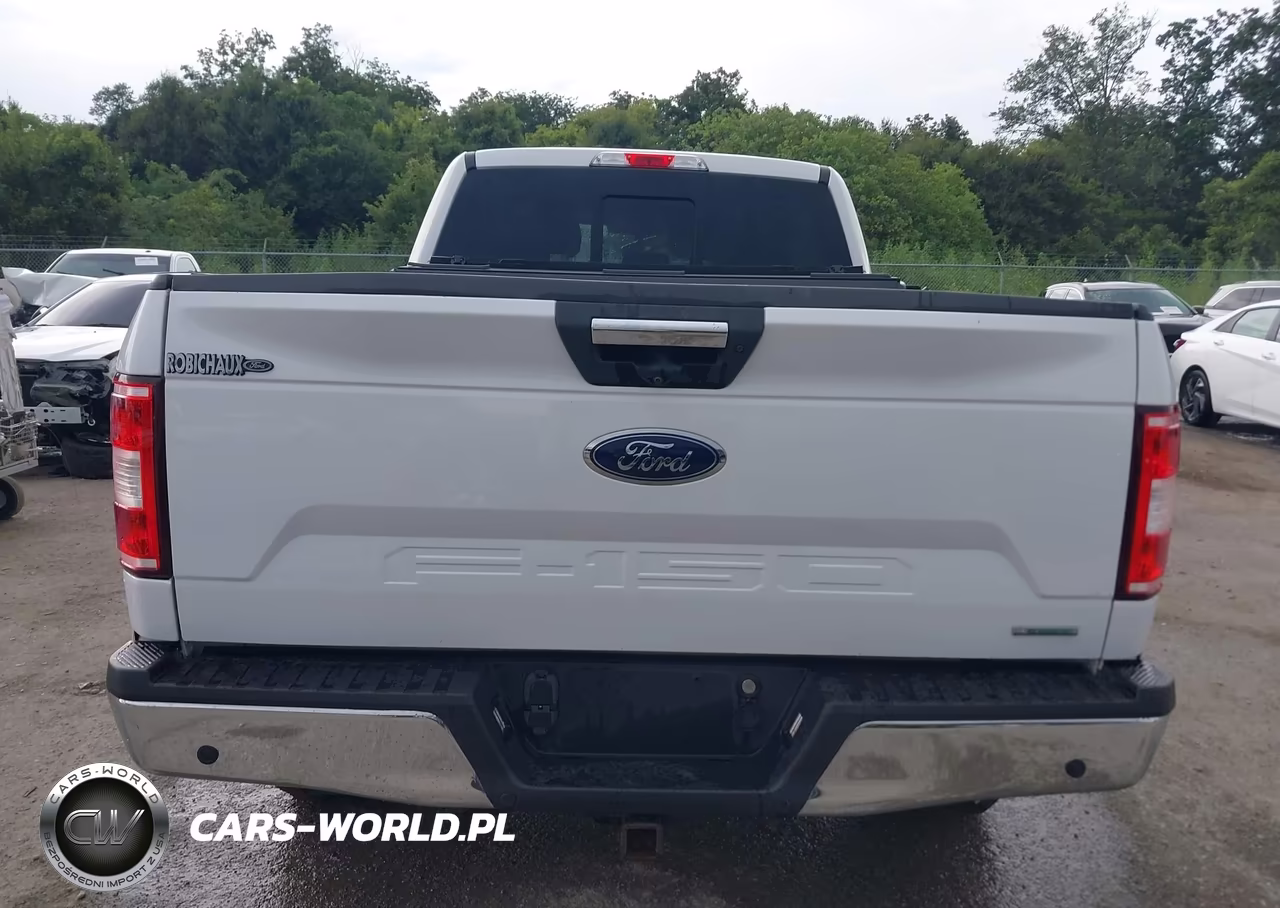 2019 Ford F-150 Xlt VIN:1FTFW1E45KKD54419 - 17