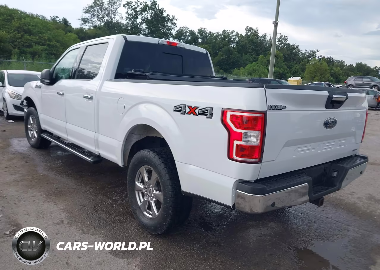 2019 Ford F-150 Xlt VIN:1FTFW1E45KKD54419 - 3