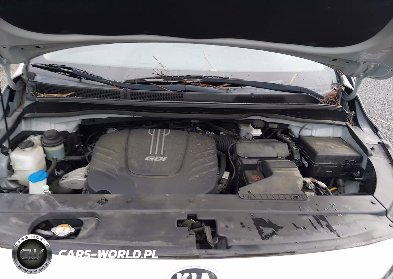 2016 Kia Sedona L VIN:KNDMA5C19G6181199 - 10