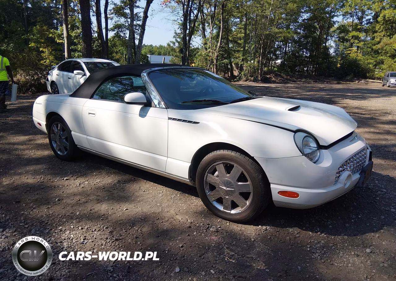 2002 Ford Thunderbird VIN:1FAHP60A42Y109498 - 1