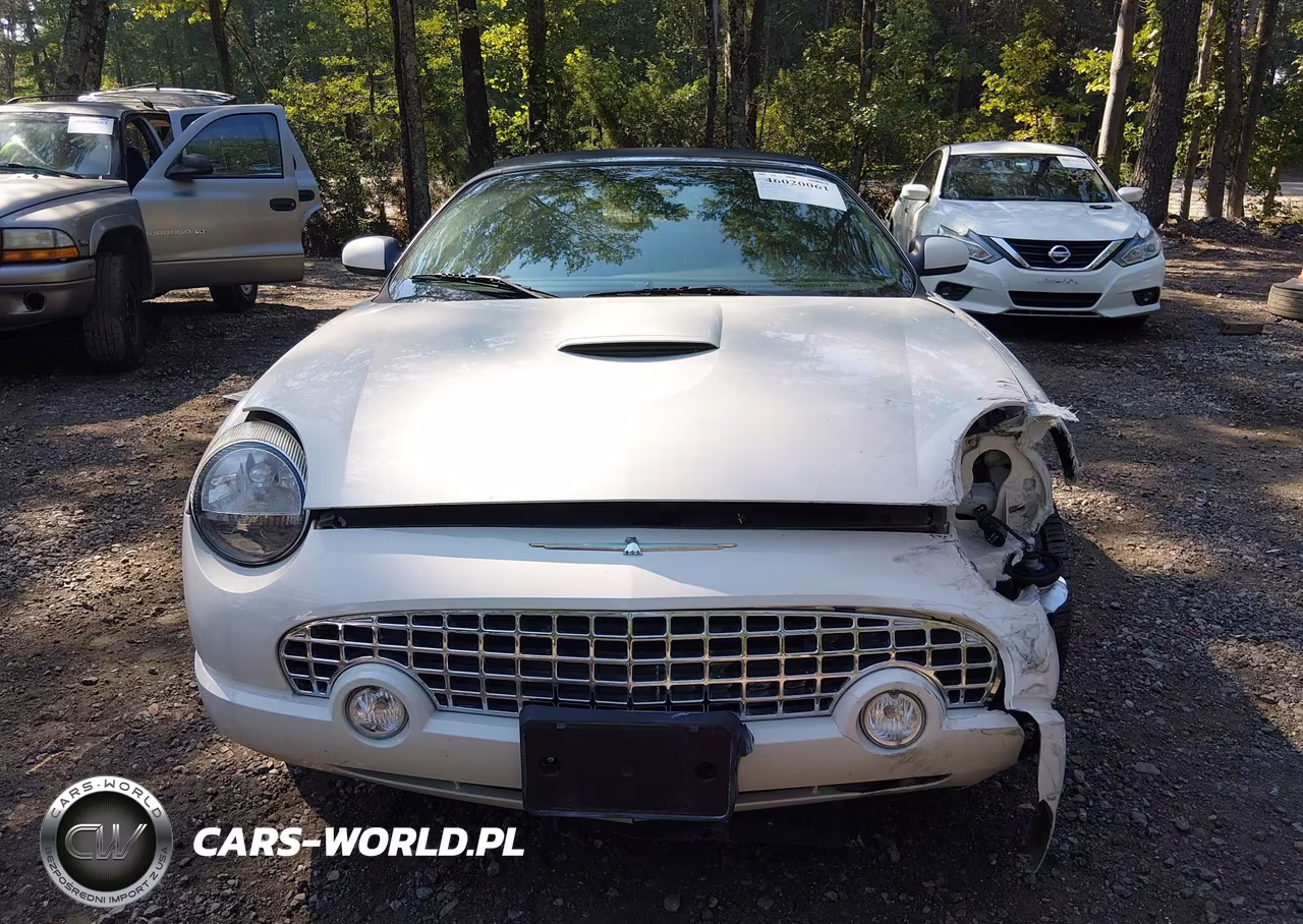 2002 Ford Thunderbird VIN:1FAHP60A42Y109498 - 12